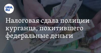 Налоговая сдала полиции курганца, похитившего федеральные деньги - ura.news - Россия - Курган