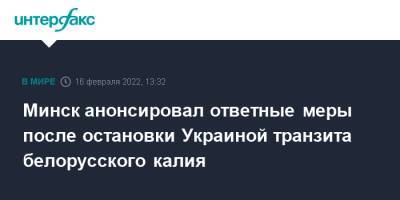 Владимир Макей - Минск анонсировал ответные меры после остановки Украиной транзита белорусского калия - interfax.ru - Москва - Австрия - Россия - Украина - Белоруссия - Румыния - Венгрия - Польша - Литва - Чехия - Минск - Словакия