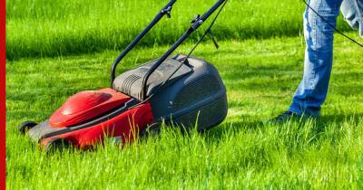 Трава у дома: 6 правил стрижки газона после зимы - profile.ru