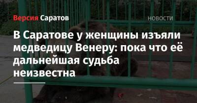 В Саратове у женщины изъяли медведицу Венеру: пока что её дальнейшая судьба неизвестна - nversia.ru - Россия - Саратовская обл. - Саратов - Пензенская обл. - Энгельс