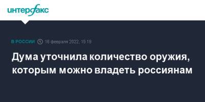 Дума уточнила количество оружия, которым можно владеть россиянам - interfax.ru - Москва - Россия