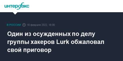 Один из осужденных по делу группы хакеров Lurk обжаловал свой приговор - interfax.ru - Москва - Россия - Екатеринбург