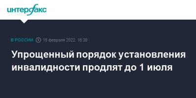 Михаил Мишустин - Упрощенный порядок установления инвалидности продлят до 1 июля - interfax.ru - Москва - Россия