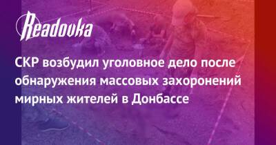 Мария Захарова - СКР возбудил уголовное дело после обнаружения массовых захоронений мирных жителей в Донбассе - readovka.ru - Россия - Украина