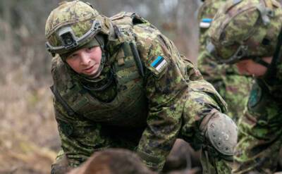 Эстонская разведка выдумала новую дату российского вторжения на Украину - news-front.info - Россия - США - Украина - Эстония