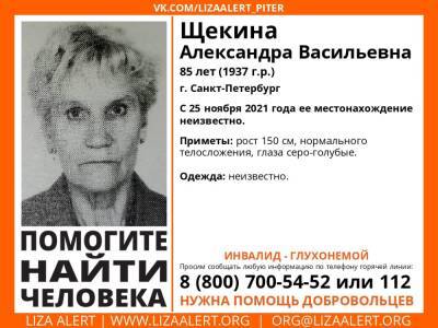 Элизабет Алерт - «Лиза Алерт» просит помощи в поисках 85-летней пенсионерки, пропавшей 3 месяца назад - ivbg.ru - Украина - Санкт-Петербург - Петербург - Ленобласть