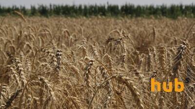 В Україні створено Фонд часткового гарантування кредитів у сільському господарстві - hubs.ua - Украина - Аграрии