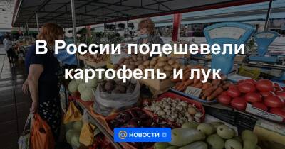 В России подешевели картофель и лук - news.mail.ru - Россия