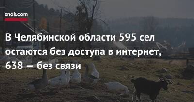 В Челябинской области 595 сел остаются без доступа в интернет, 638 — без связи - newsland.com - Челябинская обл.