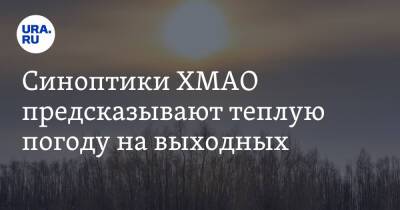 Синоптики ХМАО предсказывают теплую погоду на выходных - ura.news - Ханты-Мансийск - Сургут - Югра - Нижневартовск