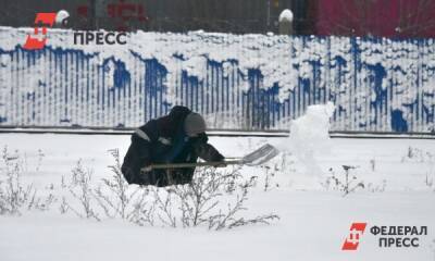 Полина Зиновьева - Мощный циклон со снегом и ветром обрушится на Сахалин - fedpress.ru - Приморье край - Южно-Сахалинск