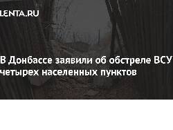 В Донбассе заявили об обстреле ВСУ четырех населенных пунктов - newsland.com - Украина - Киев - ЛНР