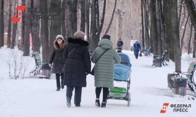 На острове Татышев в Красноярске появятся шезлонги, качели и плавающий фонтан - fedpress.ru - Красноярск