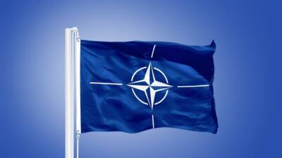 Снова об угрозах: В Брюсселе прошла встреча министров обороны стран НАТО - 5-tv.ru - Москва - Россия - Украина - Брюссель