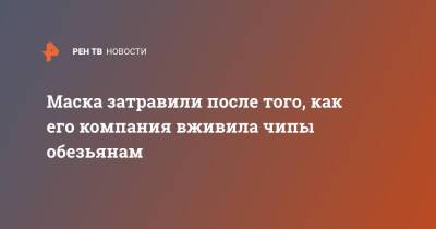 Илон Маск - Маска затравили после того, как его компания вживила чипы обезьянам - ren.tv - США