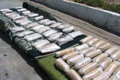 В иранской провинции Альборз за один год конфисковали 20 тонн наркотиков - eadaily.com - Iran