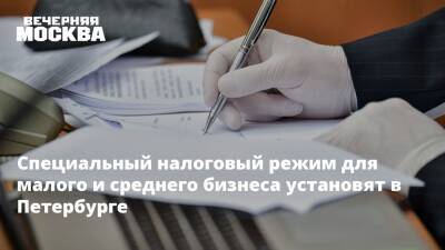 Специальный налоговый режим для малого и среднего бизнеса установят в Петербурге - vm.ru - Санкт-Петербург - Московская обл. - Санкт-Петербург