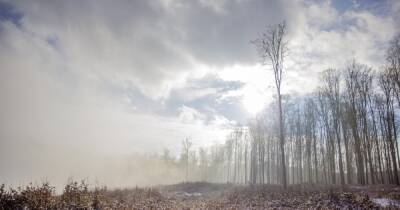 Спасатели предупреждают о тумане и сильном ветре, на дорогах может быть опасно - dsnews.ua - Украина - Киевская обл.