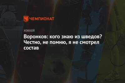 Елена Кузнецова - Дмитрий Воронков - Воронков: кого знаю из шведов? Честно, не помню, я не смотрел состав - championat.com - Россия - Швеция - Чехия