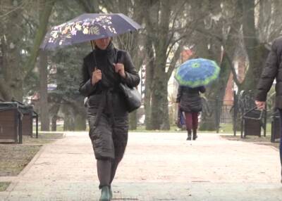 Вазир Мартазинов - Дожди накроют Украину, а столбики термометров поползут вверх: в каких регионах весна все ближе - politeka.net - Украина - Киев