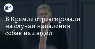 Дмитрий Песков - В Кремле отреагировали на случаи нападения собак на людей - ura.news - Россия - Челябинская обл.