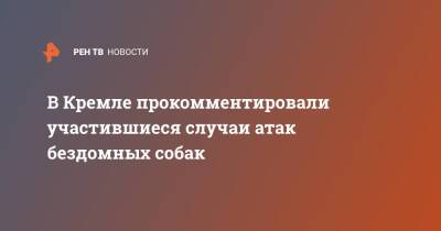 Дмитрий Песков - В Кремле прокомментировали участившиеся случаи атак бездомных собак - ren.tv - Россия