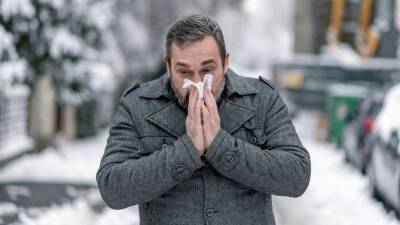 Владимир Болибок - Аллерголог Болибок назвал причины возможной аллергии во время оттепели - russian.rt.com