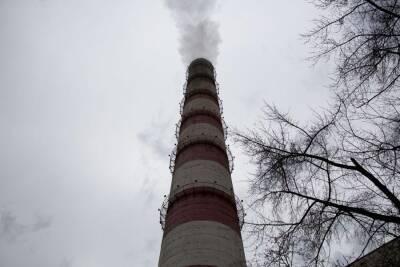 Густаво Зырянов - Жительница Новосибирска рассказала об обострении астмы из-за грязного воздуха - sib.fm - Москва - Новосибирск - Экология