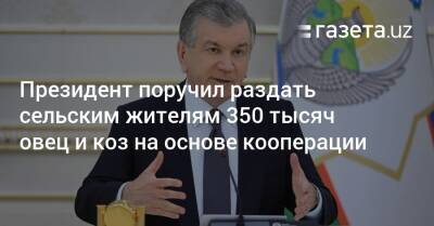 Сельским жителям раздадут 350 тысяч овец и коз на основе кооперации - gazeta.uz - Узбекистан