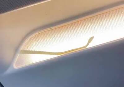 Пассажирский самолет экстренно посадили из-за змеи в салоне - vinegret.cz - Чехия - Малайзия - Куала-Лумпур - Индонезия