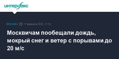 Москвичам пообещали дождь, мокрый снег и ветер с порывами до 20 м/с - interfax.ru - Москва - Москва