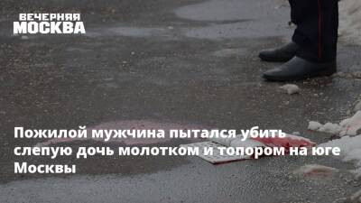 Пожилой мужчина пытался убить слепую дочь молотком и топором на юге Москвы - vm.ru - Москва