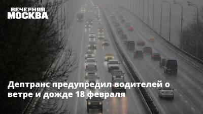 Дептранс предупредил водителей о ветре и дожде 18 февраля - vm.ru - Москва - Московская обл. - Москва