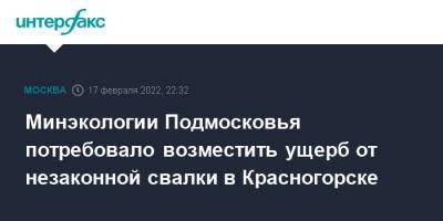 Минэкологии Подмосковья потребовало возместить ущерб от незаконной свалки в Красногорске - interfax.ru - Москва - Московская обл. - Красногорск - Экология