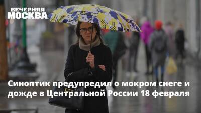 Евгений Тишковец - Роман Вильфанд - Синоптик предупредил о мокром снеге и дожде в Центральной России 18 февраля - vm.ru - Москва - Россия