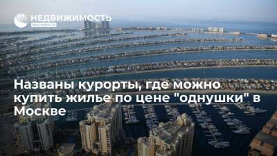 Кипр - Эксперты: денег от продажи "однушки" в Москве хватит на студию в Дубае и апартаменты в Черногории - realty.ria.ru - Москва - Россия - Турция - Болгария - Кипр - Черногория - Москва