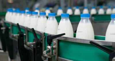 Игорь Брыло - В Беларуси производство молока за пять лет выросло на 11 % - produkt.by - Белоруссия