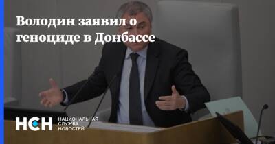 Вячеслав Володин - Володин заявил о геноциде в Донбассе - nsn.fm - Россия - Украина - Киев - Вашингтон - Брюссель - Донбасс - Киев