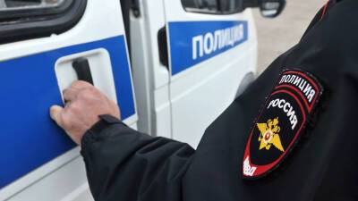 В Москве задержали второго подозреваемого в нападении на полицейских в метро - russian.rt.com - Москва - Россия