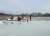 В Ушачском районе сельчанин решил на санках прокатиться по озеру. Под лед провалился конь - udf.by