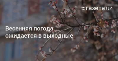 Весенняя погода ожидается в выходные - gazeta.uz - Узбекистан