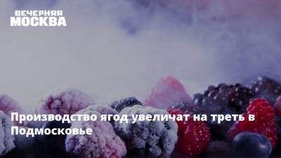 Сергей Воскресенский - Производство ягод увеличат на треть в Подмосковье - vm.ru - Москва - Россия - Московская обл.