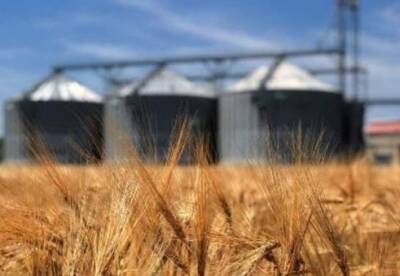Украина на 26% увеличила агроэкспорт в ЕС - facenews.ua - Украина