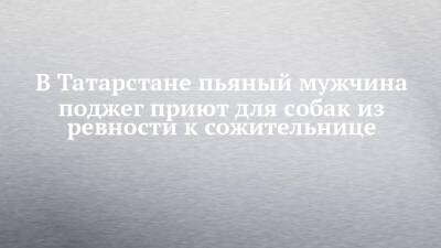 В Татарстане пьяный мужчина поджег приют для собак из ревности к сожительнице - chelny-izvest.ru - респ. Татарстан