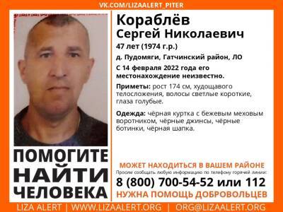 Элизабет Алерт - В Пудомягах без вести пропал 47-летний мужчина - ivbg.ru - Украина - Ленобласть