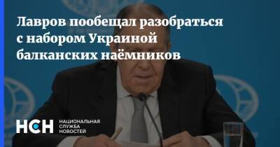 Сергей Лавров - Олафа Шольца - Лавров пообещал разобраться с набором Украиной балканских наёмников - nsn.fm - Москва - Россия - Украина - Германия - Косово - Албания - Босния и Герцеговина - Донбасс