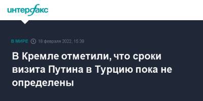 Владимир Зеленский - Владимир Путин - Реджеп Тайип Эрдоган - Дмитрий Песков - В Кремле отметили, что сроки визита Путина в Турцию пока не определены - interfax.ru - Москва - Россия - Украина - Турция - Пекин