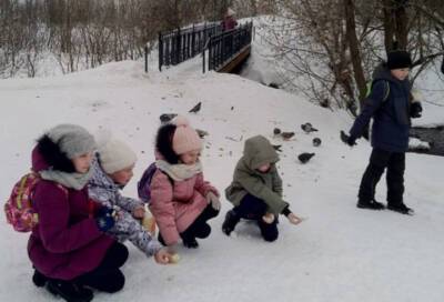 Школьники из Тихвина угостили лакомствами зимующих в Ленобласти птиц - online47.ru - Ленинградская обл.