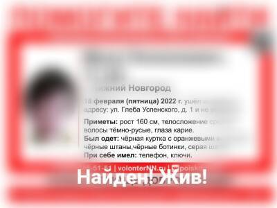 Пропавший в Нижнем Новгороде 11-летний мальчик найден живым - vgoroden.ru - Нижний Новгород