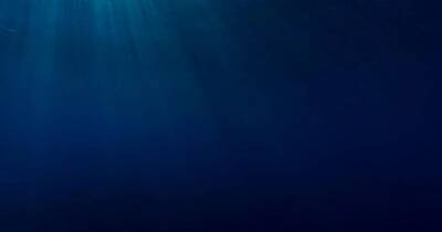 Невидимые супергерои. Неизвестные науке существа поглощают тонны углерода на дне океана - focus.ua - Украина - Франция